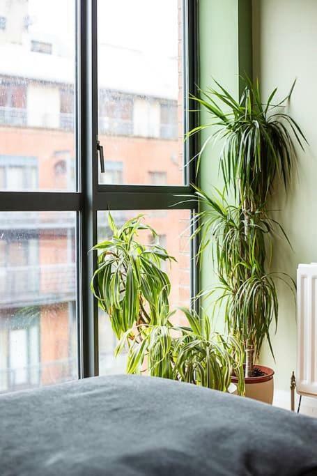 Spacious Belfast City Centre Duplex Apartment 외부 사진